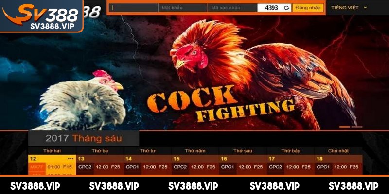 Thắc mắc về nạp tiền SV388 của người chơi đều được nhà cái giải đáp kịp thời