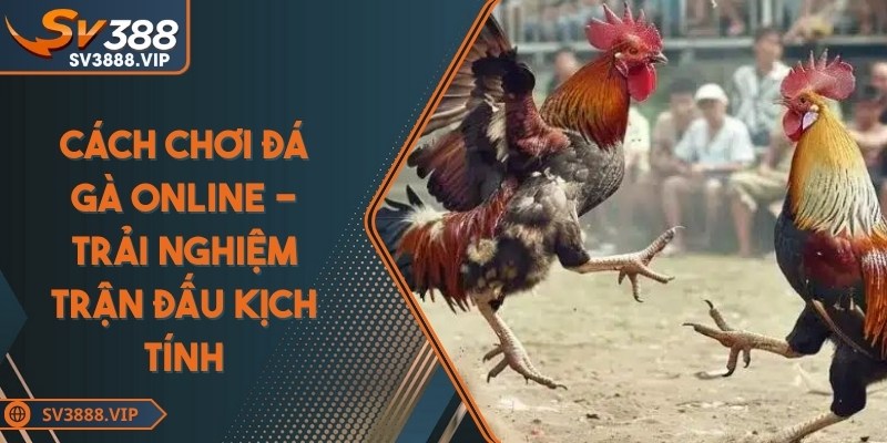 Cách chơi đá gà online