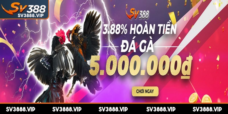 Chương trình khuyến mãi hoàn trả tại nhà cái được đánh giá cao